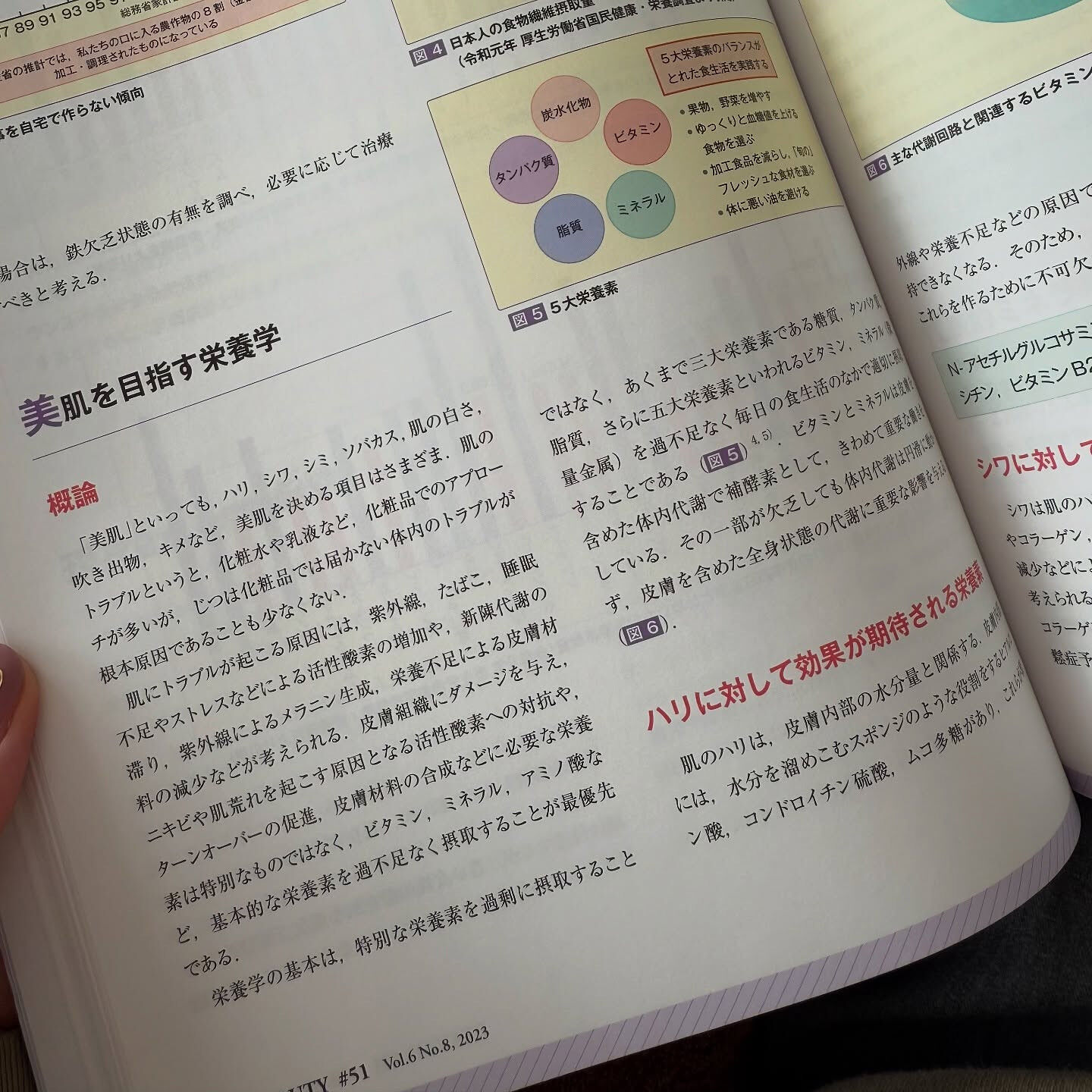 美肌の為のお勉強✏️【はりきゅうサロンemi 浦安鍼灸】